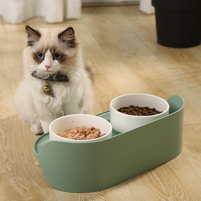 Elevated pet bowls Raised pet dish Ceramic food and water bowls No-skid silicone mat Small dog and cat feeding Stylish pet dining Classy pet food bowls Elevated pet feeder Hygienic pet dishes Practical pet feeding solution