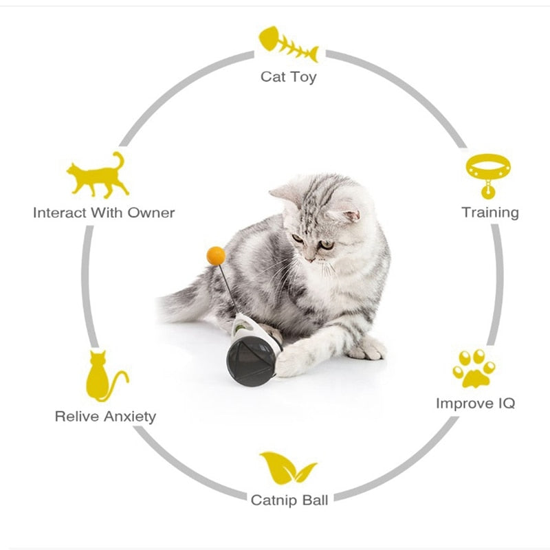 Cat tumbler toy Automatic catnip toy Interactive cat toy Irregular rotation cat toy Cat toys for cats and kittens Playful cat entertainment Cat exercise and mental stimulation Fun and engaging cat toy Healthy playtime for cats Catnip excitement for felines