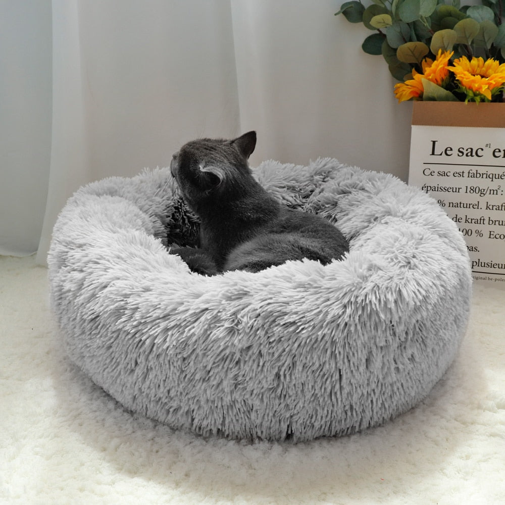 Warm Winter Pet Bed Cozy Pet Bed Winter Comfort for Pets Luxurious Pet Bed Pet Bed Sizes Stylish Pet Bed Pet Comfort in Winter Warm and Cozy Pet Retreat Winter Pet Essentials Pet Bed Decor
