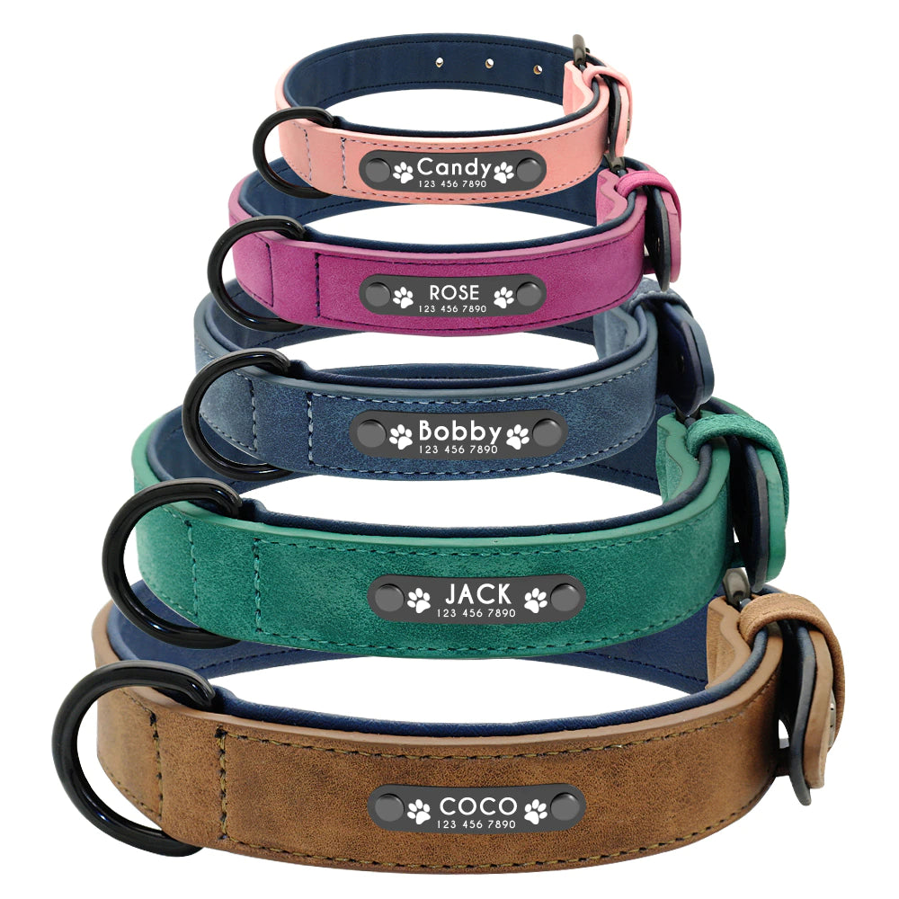 Personalised pet tag collar Pet collar with safety tag Matching leash included Durable pet tag collar Stylish pet collar and leash set Quality pet collar craftsmanship Comfortable pet accessories Safe and stylish pet gear Pet adventures with matching set Pet collar and leash for walks