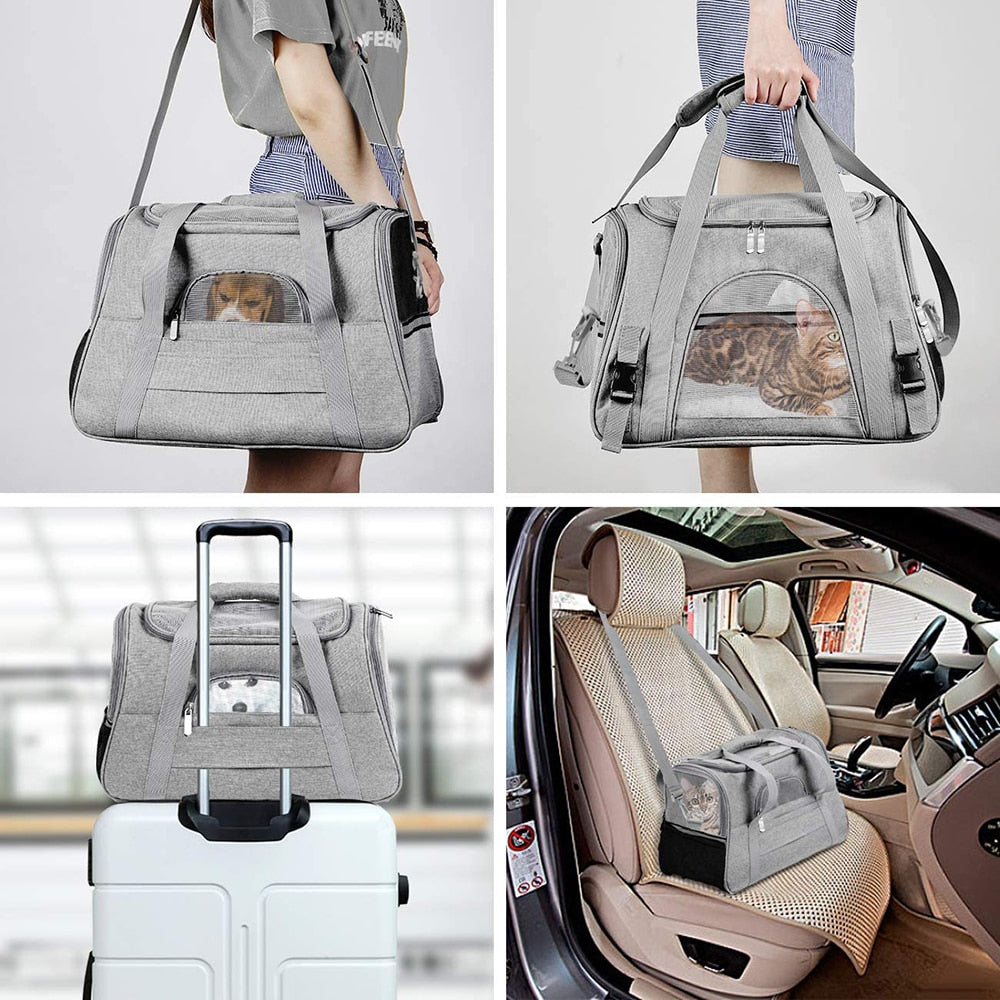 Airline approved pet carrier Pet carrier bag with mesh window In-cabin pet travel Stylish pet carrier Versatile pet carrier Premium pet carrier Pet travel accessories Airline pet regulations In-flight pet carrier Traveling with pets